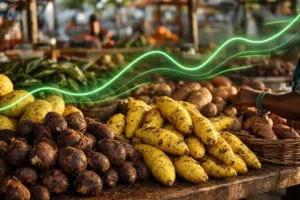 A high-impact 16:9 cinematic image featuring a vibrant Jamaican market stall filled with fresh yellow yams, dark dasheen root, and ground provisions. Overlaying the scene is a subtle, glowing neon-green stock market style trendline curving upwards. Modern digital magazine style, high contrast, warm earthy lighting mixed with sleek green tech highlights, cinematic color grading.